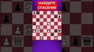 💥ВСЕГДА ИЩИ ТАКТИКУ #шахматы #шахматныезадачи #chess #chesspuzzle