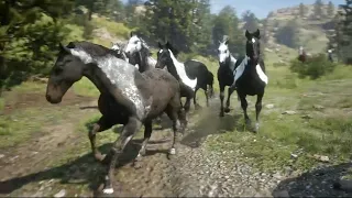 Horses - Red Dead Redemption 2 - Hungarian Halfbred horse herd