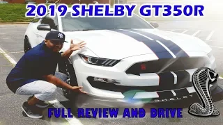 2019 Mustang GT vs GT350 | What Are The Differences? (Our Thoughts)