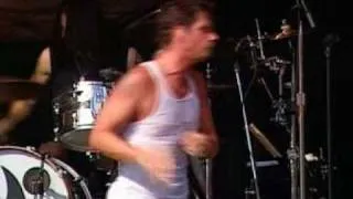 Audioslave - Killing In The Name (Open Air St  Gallen 2005) Live in Switzerland