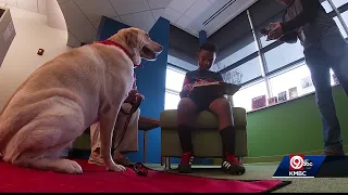 Kids learning to read practice on dogs at library