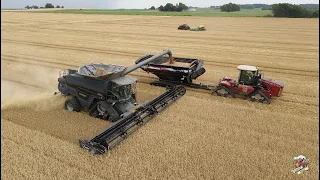 Illinois Wheat Harvest & Double Crop Soybean Planting