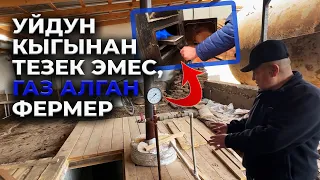 Тиричиликти жеңилдетет, ыштан дагы арылтат, мыкты жер семирткич! Уй кыгынан биогаз