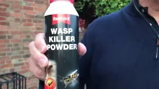 Wasp Nest Destroyer