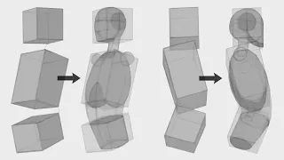 An EASY Method For Drawing The TORSO...