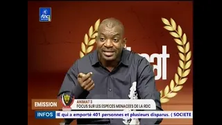11 Mai 2023 FOCUS SUR LES ESPECES MENANCEES DE LA RDC II