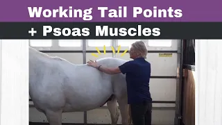 Working tail points and working the Psoas muscles