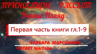 Аудиокнига. ПРИНОСЯЩИЕ РАССВЕТ. Барбара Масиниак. Главы1 - 9  Читает NikOsho.