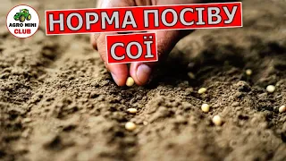 Норма висіву сої. Скільки кілограм сої потрібно на один гектар? Як порахувати схожість сої?