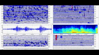 Yellowstone Supervolcano Earthquake Swarm Cover Up, Spectrogram Lesson