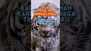 story'wa macan putih ' Diam Bukan Berarti Bodoh.