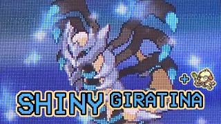 603 - LIVE! Shiny Giratina in Platinum Version after 3232 SRs! (+ Smeargle catching setup guide!!!)