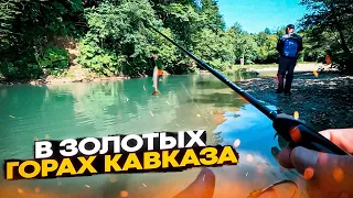 Рыбалка на форель. Ловля форели в горной реке Кавказа