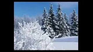 Пётр Ильич Чайковский - Еловый лес зимой