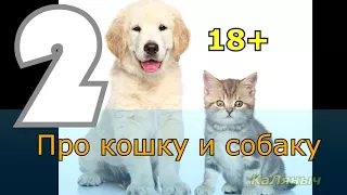 18+ Про кошку и собаку 2 из 4