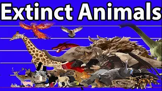 Extinct Animals Size | Most popular Genius animals in the world 2021|Size Comparison |Cenozoic Beast