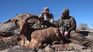 Miller Brothers Outfitters Aoudad Hunt