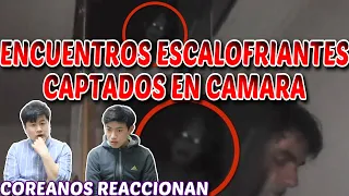 COREANOS REACCIONAN a TOP 10 ENCUENTROS ESCALOFRIANTES CAPTADOS EN CÁMARA!