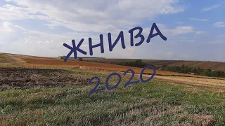 Жнива 2020 Золота Слобода!