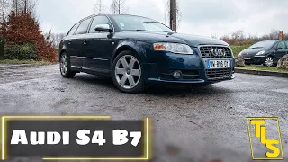 LE GANG ET SON BREAK DE CHASSE - AUDI S4 B7