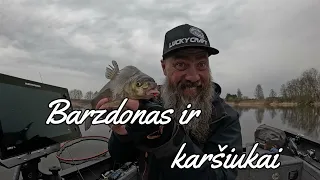 Barzdonas ir karšiukai...