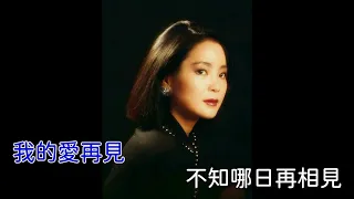 再見我的愛人