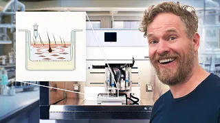 3d printing human tissue?