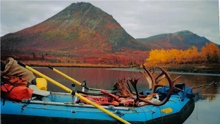 Alaska Hunting : Moose Caribou Dall Sheep