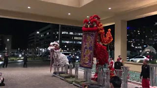 Leung’s White Crane Lion Dance Jong Performance at Bay 101 Casino 2019