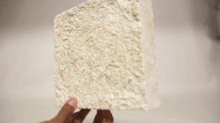 How to Make A Mycelium Cardboard Growth Form Ecovative GIY (Grow-It-Yourself) Kit
