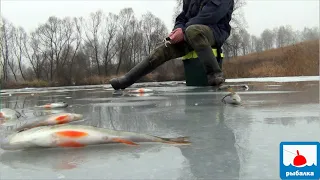 И я понял, что рыбалок одинаковых не бывает - ловля на мормышку