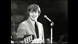 NEW MUSICAL EXPRESS 1966 Poll Winners Concert, Hermans Hermits, Yardbirds, Dusty Springfield, etc