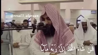 ذلك الْيَوْم الحق || الشيخ أحمد حمادي