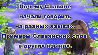 Хиневич А.Ю  #51 Почему Славяне начали говорить на разных языках. Примеры Славянских слов.