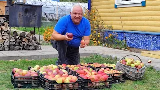 Как живёт деревенька в Беларусской глубинке