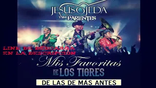 Jesús Ojeda y Sus Parientes | Mix | Álbum "Mis Favoritas de los Tigres" | 2018