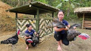 Building a Bamboo house for Pheasants - Bamboo house construction process 2024 | Trieu Mai Huong