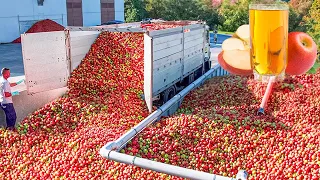 MODERNE TECHNOLOGIE ZUR HERSTELLUNG VON FRUCHTSAFT