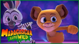 Mr. Bear Song | MADAGASCAR A LITTLE WILD