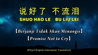 SHUO HAO LE BU LIU LEI【说好了不流泪】【Berjanji Tidak Akan Menangis】【Promise Not to Cry】Lirik danTerjemahan