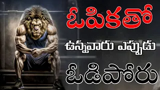 Million Dollar Words #185 | Top Qoutes In World | Voice Of Telugu