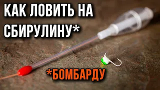 Как ловить на сбирулину (бомбарду) монтаж снасти и техника ловли