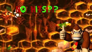 No Hit Run of King Zing Sting in Donkey Kong Country 2