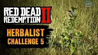 Red Dead Redemption 2 Herbalist Challenge #5 Guide - Craft 9 items using Indian Tobacco