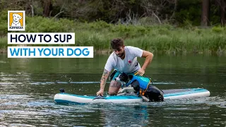 How to SUP With Your Dog