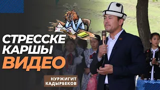 Стресске каршы видео | Нуржигит Кадырбеков