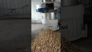 1-5 ton pr hour pellet machine sawdust pelletizer and dryer bio mass pellets machine