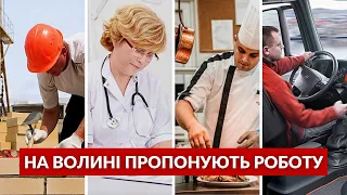 Волинянам пропонують роботу: шукають лікарів, швей, викладачів, водіїв та начальників