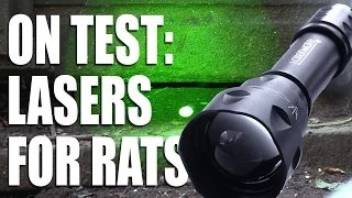 Lasers for Rats