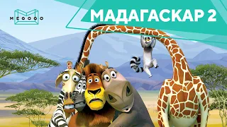 Мадагаскар 2 – Мультфильм. Бесплатно на Megogo.net смотри фильмы, сериалы, мультфильмы. Трейлер